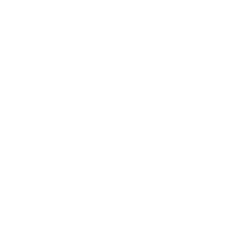 Speed Gates